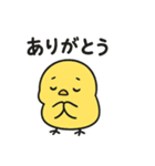 丸ひよこ。かわいい。よく使う（個別スタンプ：3）