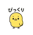 丸ひよこ。かわいい。よく使う（個別スタンプ：6）