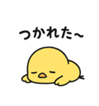 丸ひよこ。かわいい。よく使う（個別スタンプ：13）