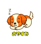 コーイケルホンディエとの会話（個別スタンプ：1）