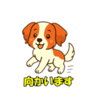 コーイケルホンディエとの会話（個別スタンプ：17）