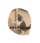 皆のアオくん4（個別スタンプ：2）