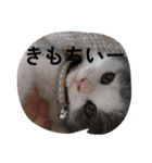 皆のアオくん4（個別スタンプ：4）