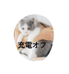 皆のアオくん4（個別スタンプ：7）