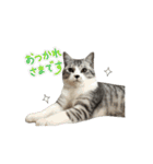 動く八朔さんvol.1（個別スタンプ：1）