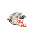 動く八朔さんvol.1（個別スタンプ：4）