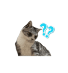 動く八朔さんvol.1（個別スタンプ：6）