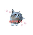 動く八朔さんvol.1（個別スタンプ：15）