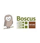 Boscusのバタフライピー（個別スタンプ：6）