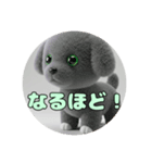 アッシュグレーみなみプレミアムセット（個別スタンプ：20）