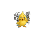 動くネガティブオカメインコ7（個別スタンプ：10）