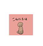 動くフレンドリーなトイプードル（個別スタンプ：3）