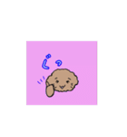 動くフレンドリーなトイプードル（個別スタンプ：6）