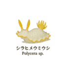 動く無言ウミウシ（個別スタンプ：7）