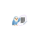 癒しコザクラインコ♡メッセージVol.1（個別スタンプ：2）