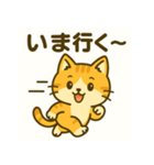 にゃんこ劇場・感情編（個別スタンプ：1）