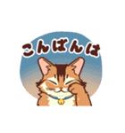 動く！ あいさつモコ（個別スタンプ：3）