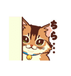 動く！ あいさつモコ（個別スタンプ：11）
