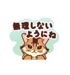 動く！ あいさつモコ（個別スタンプ：17）