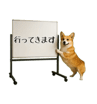 飛び出す☆動物便利ボードメッセージ（個別スタンプ：4）