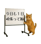 飛び出す☆動物便利ボードメッセージ（個別スタンプ：7）