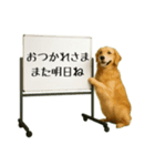 飛び出す☆動物便利ボードメッセージ（個別スタンプ：9）