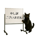 飛び出す☆動物便利ボードメッセージ（個別スタンプ：14）