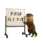 飛び出す☆動物便利ボードメッセージ（個別スタンプ：22）