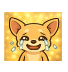 キラキラだけど気が強いチワワ@SFW（個別スタンプ：17）
