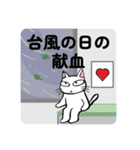 献血する猫の日常7（個別スタンプ：7）