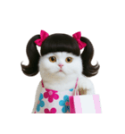 ツインテールのかわいい猫（個別スタンプ：6）