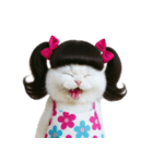 ツインテールのかわいい猫（個別スタンプ：7）