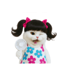 ツインテールのかわいい猫（個別スタンプ：11）