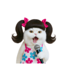 ツインテールのかわいい猫（個別スタンプ：12）