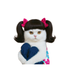 ツインテールのかわいい猫（個別スタンプ：24）