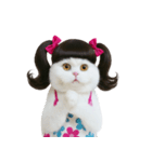 ツインテールのかわいい猫（個別スタンプ：26）