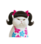 ツインテールのかわいい猫（個別スタンプ：37）