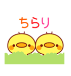 とび出す！メッセージひよこちゃん(連絡)（個別スタンプ：14）