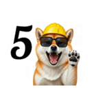 柴犬の現場仕事⭐カウントダウン(再販)（個別スタンプ：1）