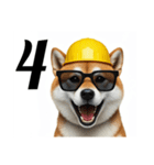 柴犬の現場仕事⭐カウントダウン(再販)（個別スタンプ：2）