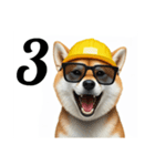 柴犬の現場仕事⭐カウントダウン(再販)（個別スタンプ：3）