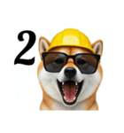 柴犬の現場仕事⭐カウントダウン(再販)（個別スタンプ：4）