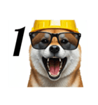 柴犬の現場仕事⭐カウントダウン(再販)（個別スタンプ：5）