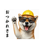 柴犬の現場仕事⭐カウントダウン(再販)（個別スタンプ：7）