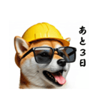 柴犬の現場仕事⭐カウントダウン(再販)（個別スタンプ：11）