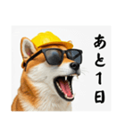 柴犬の現場仕事⭐カウントダウン(再販)（個別スタンプ：13）