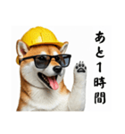 柴犬の現場仕事⭐カウントダウン(再販)（個別スタンプ：14）