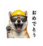 柴犬の現場仕事⭐カウントダウン(再販)（個別スタンプ：17）