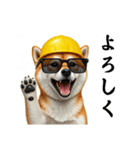 柴犬の現場仕事⭐カウントダウン(再販)（個別スタンプ：19）