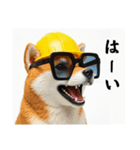 柴犬の現場仕事⭐カウントダウン(再販)（個別スタンプ：20）